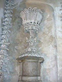 bones6.jpg
