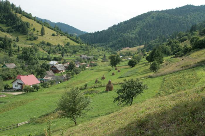 0855d_700x467.jpg