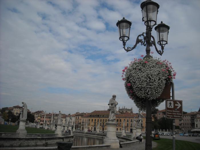 DSCN2124.jpg