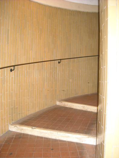 DSCN2542.jpg